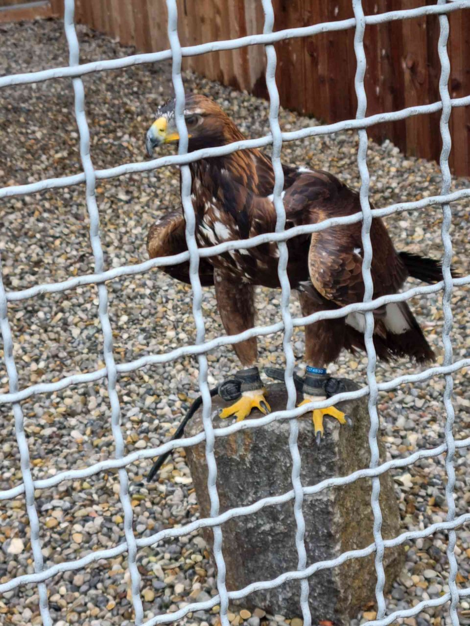 Oktober - Regionalwandertag Abtsgmünd